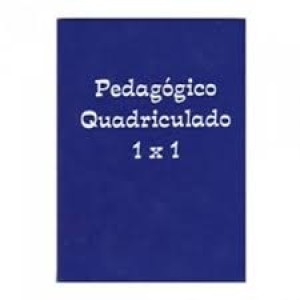 QUADRICULADO 1/4 CAPA DURA BROCHURA 96 FOLHAS 1,0X1,0 TAMOIO